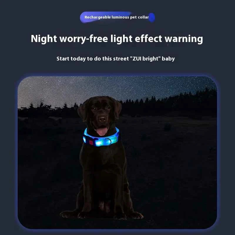 Dog Colorful Led Dog Luminous Collar Rechargeable Luminous Dog Rope Nylon Pvc Wrapped Tape Pet Luminous Collar
