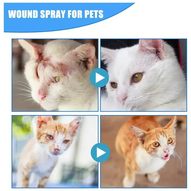 30ml Pets Anti-Itch And Itch Relief Dogs Cat Skin Healthy Care Spray Skin Care Treat Products For Itchy And Sensitive Skin - Bdba PK