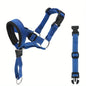 2-Pack Adjustable Nylon Dog Muzzles with Reinforced Stitching–Leader Halter with Safety Strap for Training and Pull-Free Walks - Bdba PK