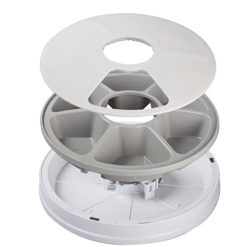 Timed Automatic Pet Feeder with LCD Display & Voice Recorder – Dry & Wet Food Dispenser - Bdba PK