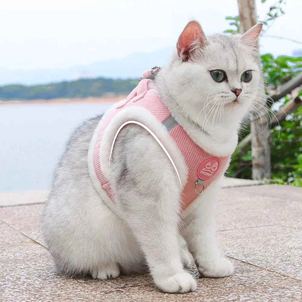 Cute Cat Dog Harness and Leash Set Winter Pet Outdoor Walking Supplies Reflective Adjustable Kitten Puppy Gatos Harnesses