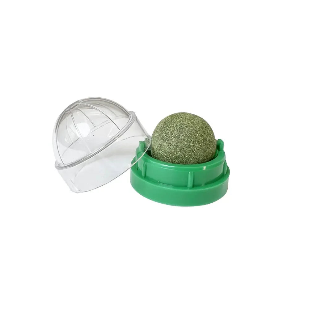 Natural Catnip Wall Stick-On Ball – Cat Grass Scratcher & Digestive Aid Treat for Cats - Bdba PK