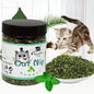 Organic Catnip Toy – Natural Cattle Grass Mint Interactive Toy for Cats - Bdba PK