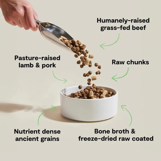 RawMix Dry Dog Food with Ancient Grains Protein-Packed Kibble Coated in Bone Broth with Freeze Dried Raw Chunks Beef Pork and L - Bdba PK