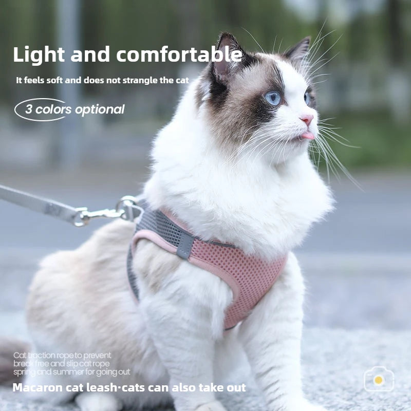 Pet Things Cat Accessories Cute Adjustable Cat Collar and Leash Set for Walking Safe Reflective Soft Comfortable Vest - Bdba PK