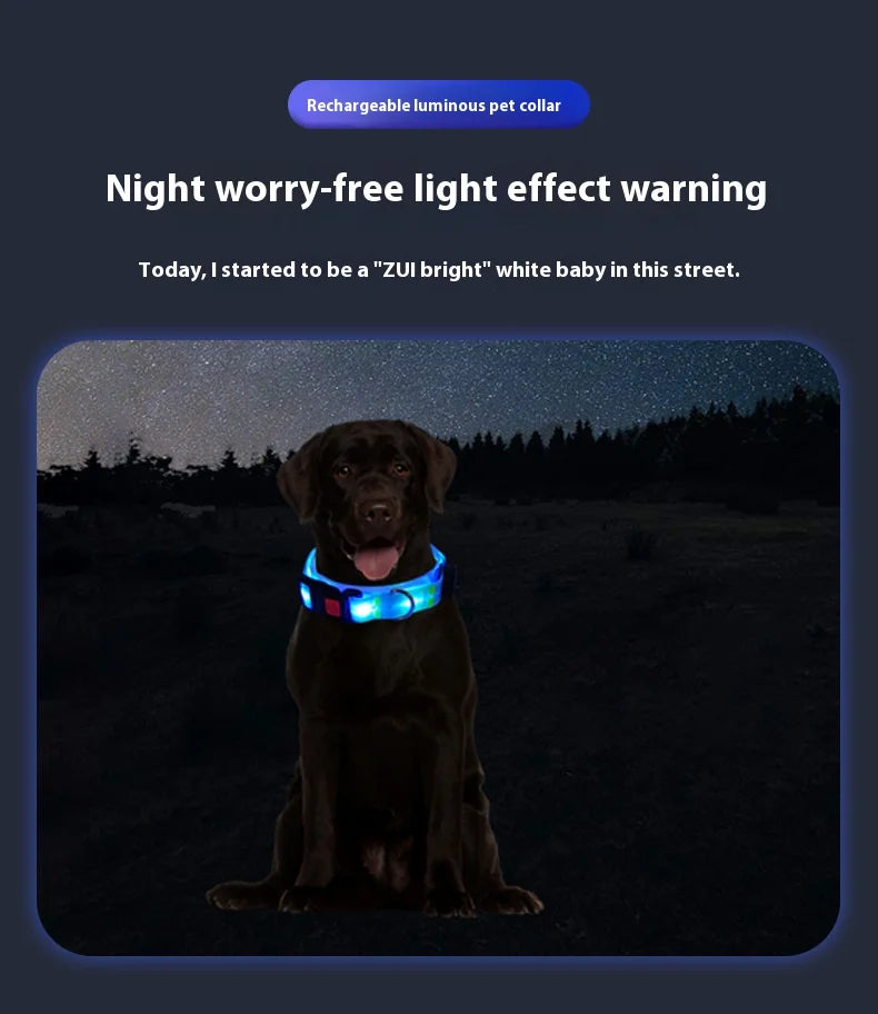 Dog Colorful Led Dog Luminous Collar Rechargeable Luminous Dog Rope Nylon Pvc Wrapped Tape Pet Luminous Collar