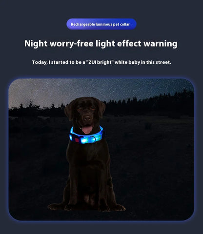 Dog Colorful Led Dog Luminous Collar Rechargeable Luminous Dog Rope Nylon Pvc Wrapped Tape Pet Luminous Collar
