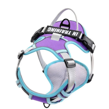 Nylon Dog Harness Vest Reflective Dog Harness Personalized Breathable Adjustable Pet Harness Leash For Small Medium Large Dogs