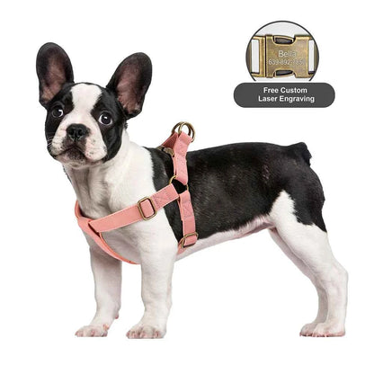 Free Personalized Dog Harness Leash Set PU Leather Dogs Harness Engraved ID Buckle Necklace for Small Medium Large Dogs Pitbull