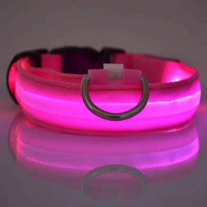 Nylon LED Luminous Dog Collar Leash Set Night Safety Flashing Glow In The Dark Fluorescent Pet Dog Walking Lead Anti-lost Night