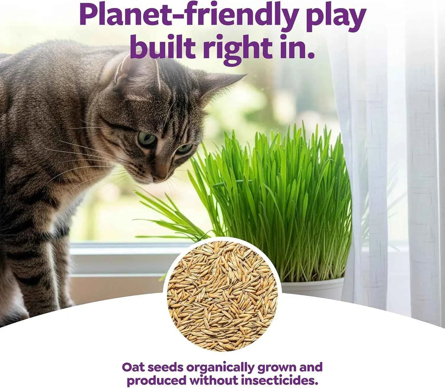 Organic Oat Grass Cat Grow Kit, Easy-to-Grow for Digestion & Hairball Support, All-in-One Solution