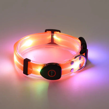 Dog Colorful Led Dog Luminous Collar Rechargeable Luminous Dog Rope Nylon Pvc Wrapped Tape Pet Luminous Collar