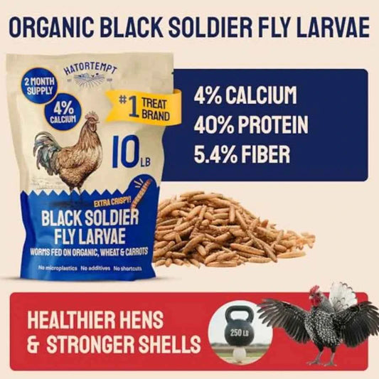 10lb Dried Black Soldier Fly Larvae - More Calcium Than Mealworms for Chickens - High Protein Chicken Feed Treats for Laying He