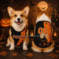 26 1PC Personalized Dog Jersey, Pet Halloween Pumpkin Lamp Dog Vest Puppy Dog Jersey, Halloween Dog Cat Vest