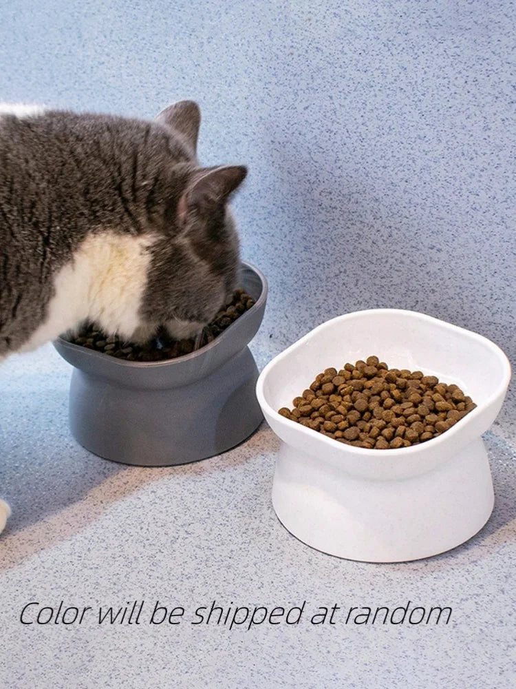 1Pc Pet bowl, water and food feeder, for cat and small dog - Bdba PK
