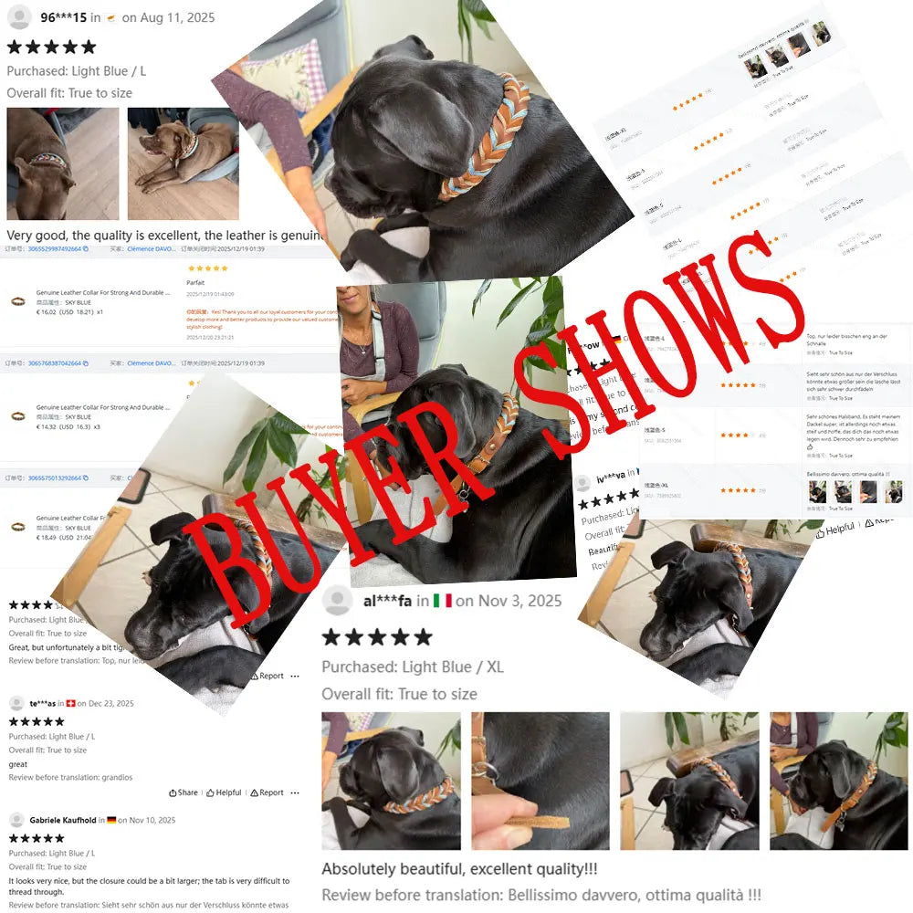 New Style Leather Leashes And Collars For You Dog Soft Nylon Braided Pet Shepherd Collar Medium Large Dogs Strong Pulling Set