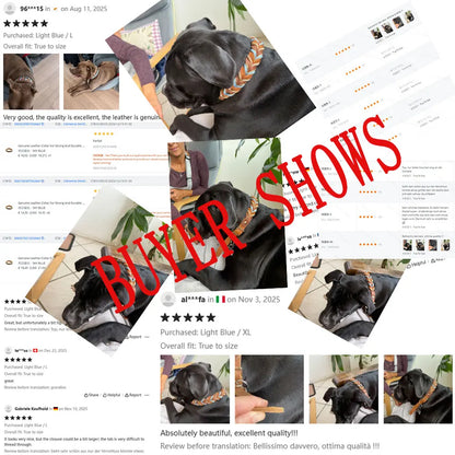 New Style Leather Leashes And Collars For You Dog Soft Nylon Braided Pet Shepherd Collar Medium Large Dogs Strong Pulling Set