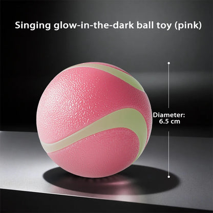 HOOPET Glow Dog Toy Ball Durable Rubber Border Collie Labrador Energy Consumption Puppy Pet Fetch Ball