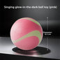 HOOPET Glow Dog Toy Ball Durable Rubber Border Collie Labrador Energy Consumption Puppy Pet Fetch Ball