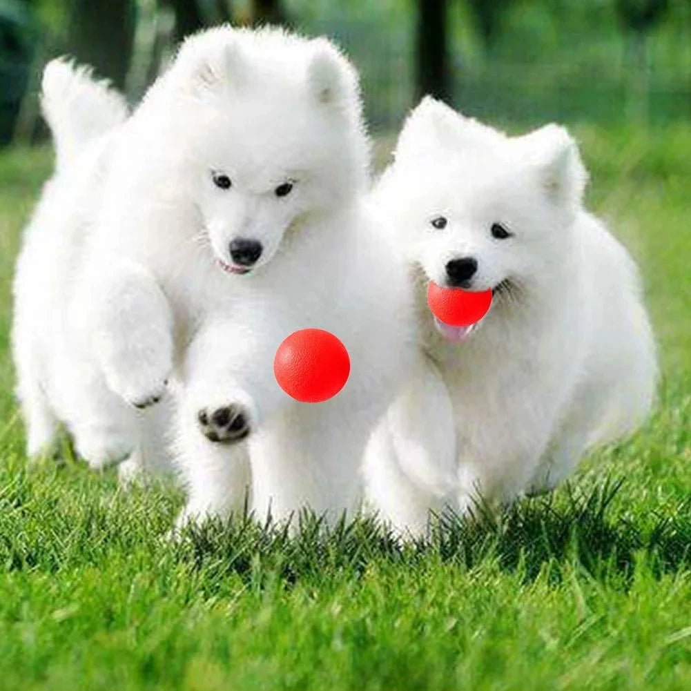 Indestructible Solid Rubber Ball Pet Dog Toy Training Chew Play Fetch Bite Toys Dog supplies Puppy Dog Toys for Large Dogs