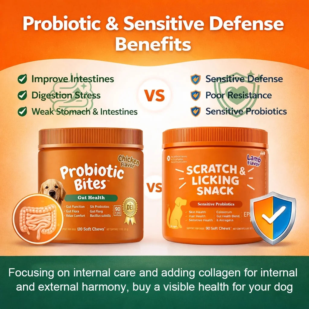 240 Capsules of Dog Probiotics And Anti-Sensitivity Combination, Sufficient to Last for 200 Days, Specially Designed for The Overall Health of Dogs, Rich in Probiotics, Promoting Skin And Hair Health, Intestinal Health, Suita