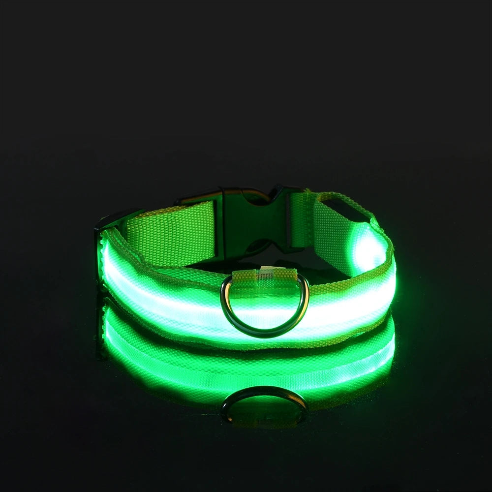 Nylon LED Luminous Dog Collar Leash Set Night Safety Flashing Glow In The Dark Fluorescent Pet Dog Walking Lead Anti-lost Night