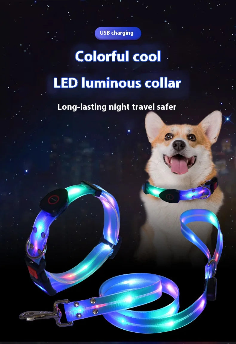 Dog Colorful Led Dog Luminous Collar Rechargeable Luminous Dog Rope Nylon Pvc Wrapped Tape Pet Luminous Collar