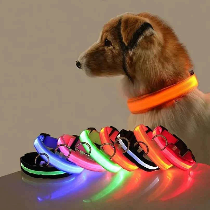 Nylon LED Luminous Dog Collar Leash Set Night Safety Flashing Glow In The Dark Fluorescent Pet Dog Walking Lead Anti-lost Night