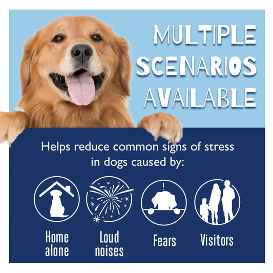 YEGBONG Pet Calming Liquid Diffuser – Anti-Anxiety Stress Relief & Noise Reduction for Dogs & Cats (48ml) - Bdba PK