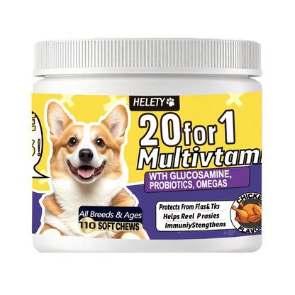 20-in-1 Dog Multivitamin Soft Chews Skin Coat Immune Gut Health Support Vitamins Minerals Omega-3 Iron Zinc Supplement for Dogs