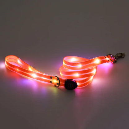 Dog Colorful Led Dog Luminous Collar Rechargeable Luminous Dog Rope Nylon Pvc Wrapped Tape Pet Luminous Collar