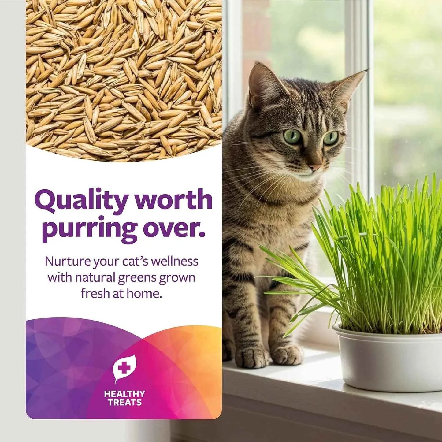 Organic Oat Grass Cat Grow Kit, Easy-to-Grow for Digestion & Hairball Support, All-in-One Solution