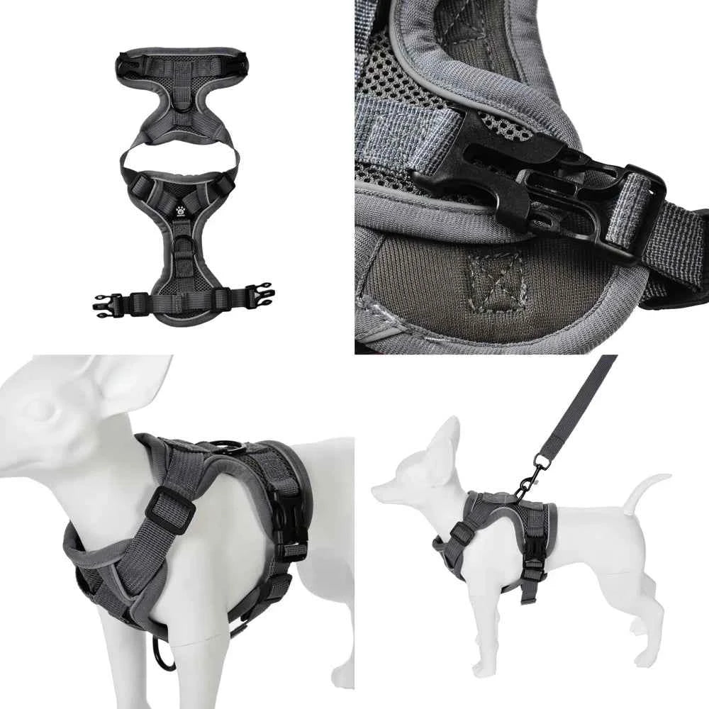 Pet Dog Harness Leash Set Adjustable Puppy Solid Chest Strap with D-ring For Small Medium Dogs Cats French Bulldog Accessories