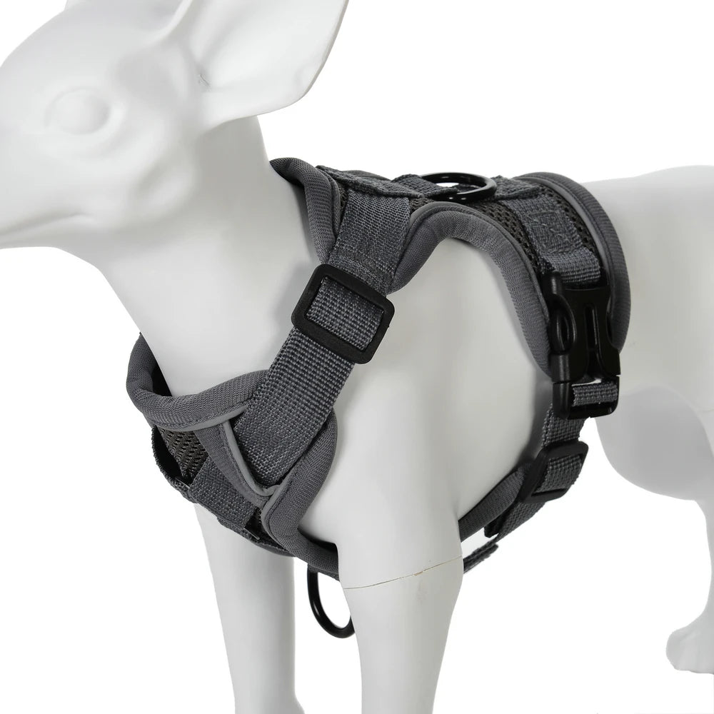 Pet Dog Harness Leash Set Adjustable Puppy Solid Chest Strap with D-ring For Small Medium Dogs Cats French Bulldog Accessories