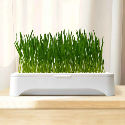 Pet Cat Grass Planting Basin Soilless Culture Wheat Seedling Pot Kitten Grass Hydroponic Device Horticultural Planting Pot