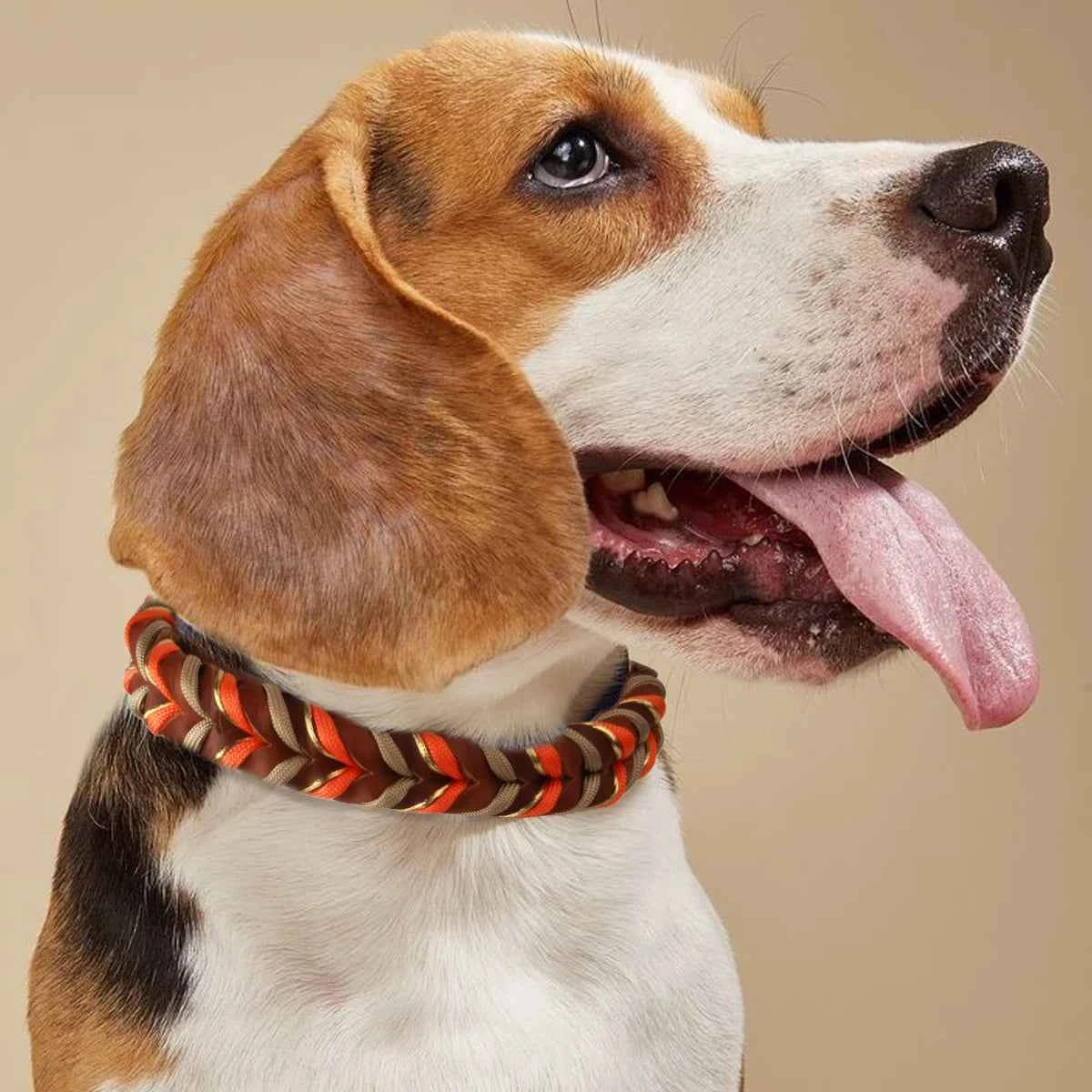 Brown Leather Dog Collar And Leashes Suit Woven Patterns Beautiful Durable Nylon Orange Colors Rope Hand Free Design 2026 New