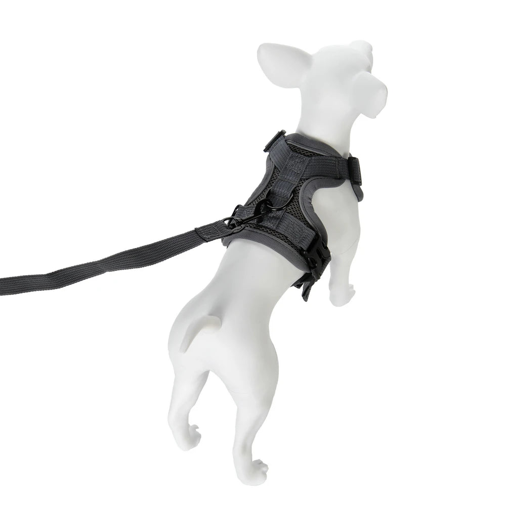 Pet Dog Harness Leash Set Adjustable Puppy Solid Chest Strap with D-ring For Small Medium Dogs Cats French Bulldog Accessories