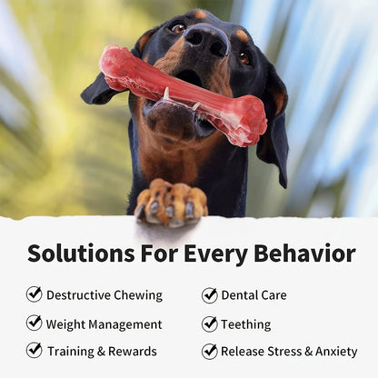 Natural Rubber Silicone Dog Bite Toy – Non-Toxic Teeth Cleaning Bone for Strong Chewers - Bdba PK