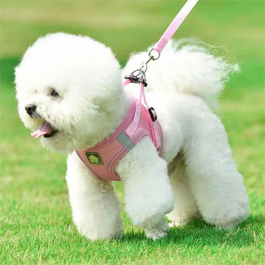 1 Set Pet Harness Leash, Suitable For All Seasons, Fits Small And Medium Dogs, Vest-Style Comfortable Dog Leash, Outdoor Walking
