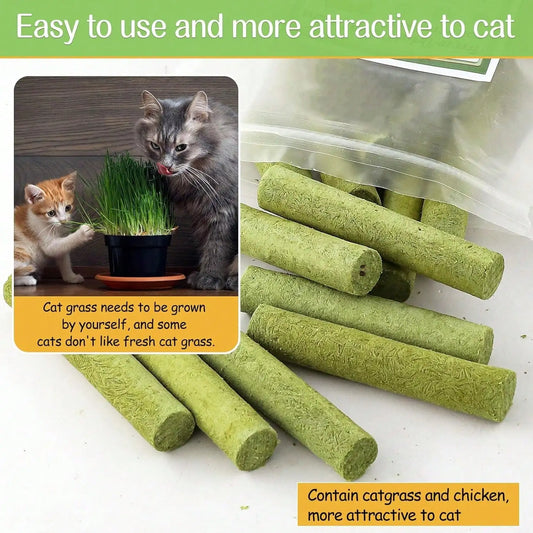 Natural Cat Grass Teething Sticks – 100g Teeth Cleaning & Hairball Removal Treats for Cats - Bdba PK