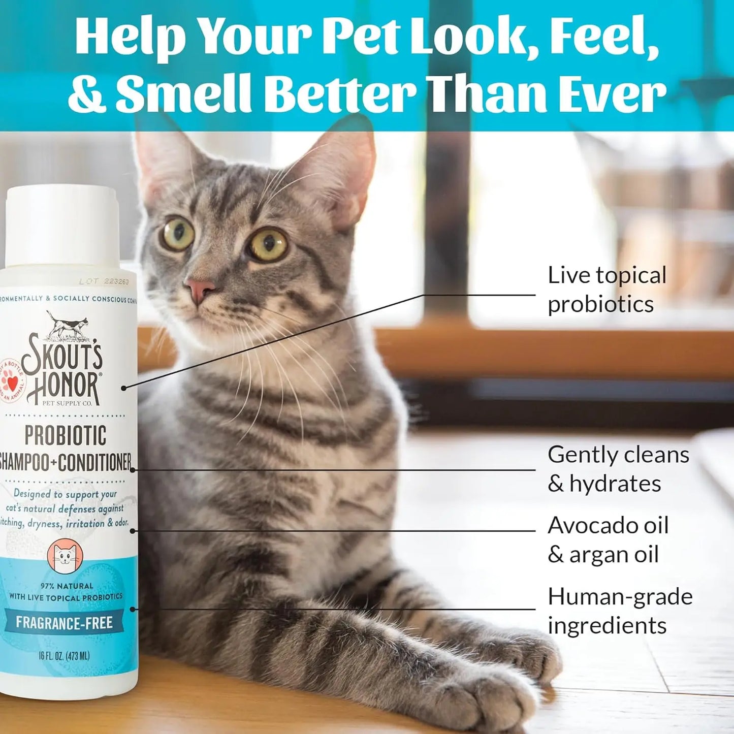 Fragrance-Free Probiotic Cat Shampoo & Conditioner with Avocado Oil & Omega-3s, 97% Natural, Paraben & Sulfate-Free, Cruelty-Fre - Bdba PK