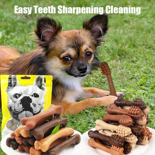 Bone-Shaped Dog Dental Chew Stick – Natural Toothbrush Treat for Puppies & Adult Dogs - Bdba PK