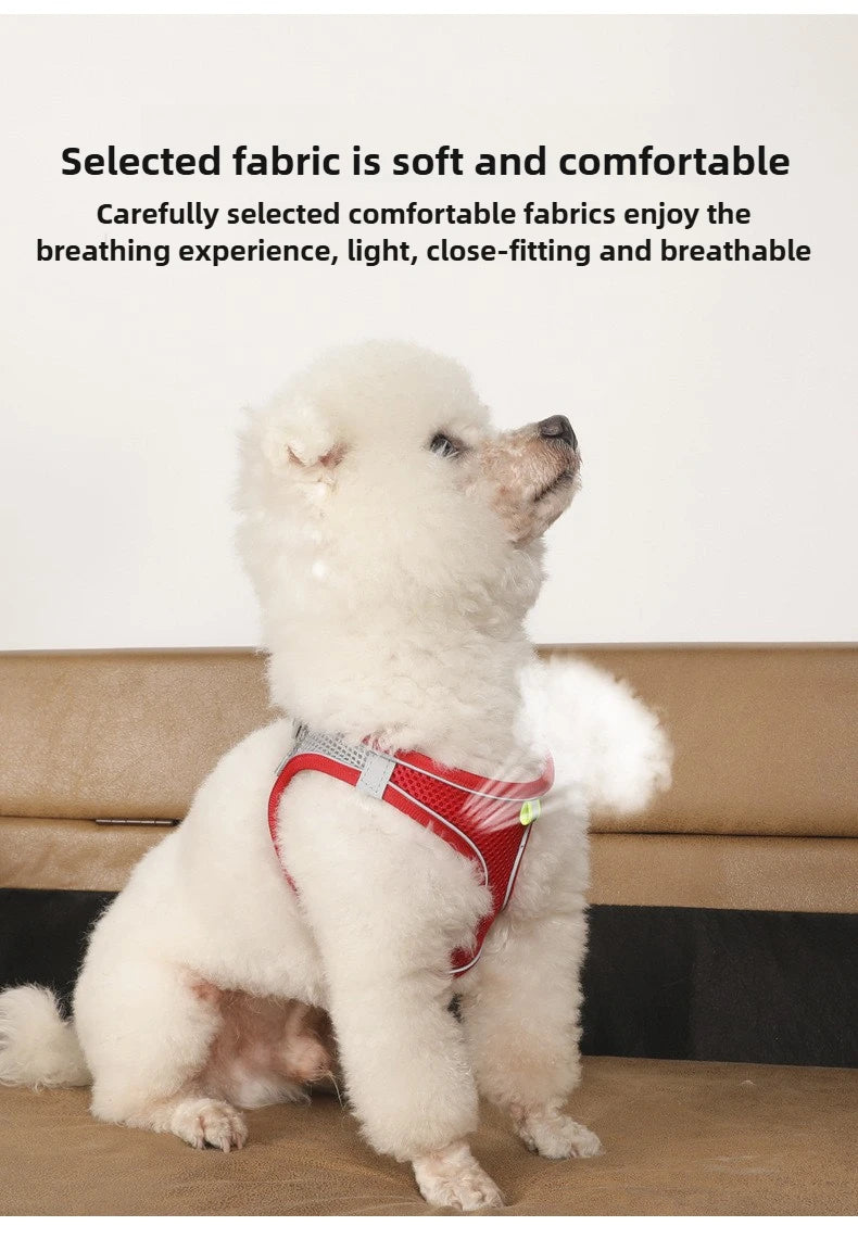 Pet Things Cat Accessories Cute Adjustable Cat Collar and Leash Set for Walking Safe Reflective Soft Comfortable Vest - Bdba PK