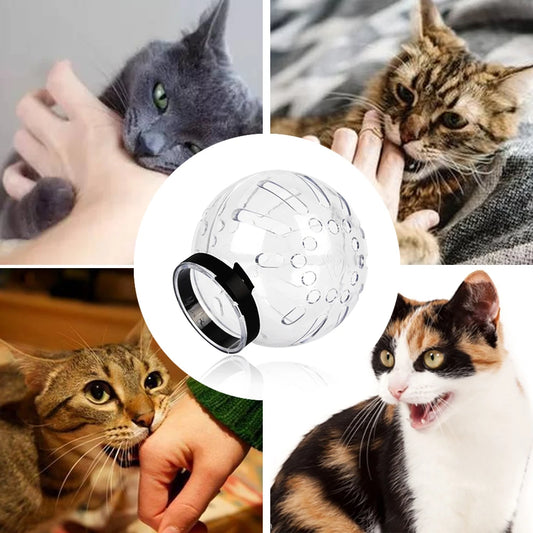 Breathable Cat Grooming Muzzle – Transparent Anti-Bite Space Hood for Bathing & Grooming - Bdba PK
