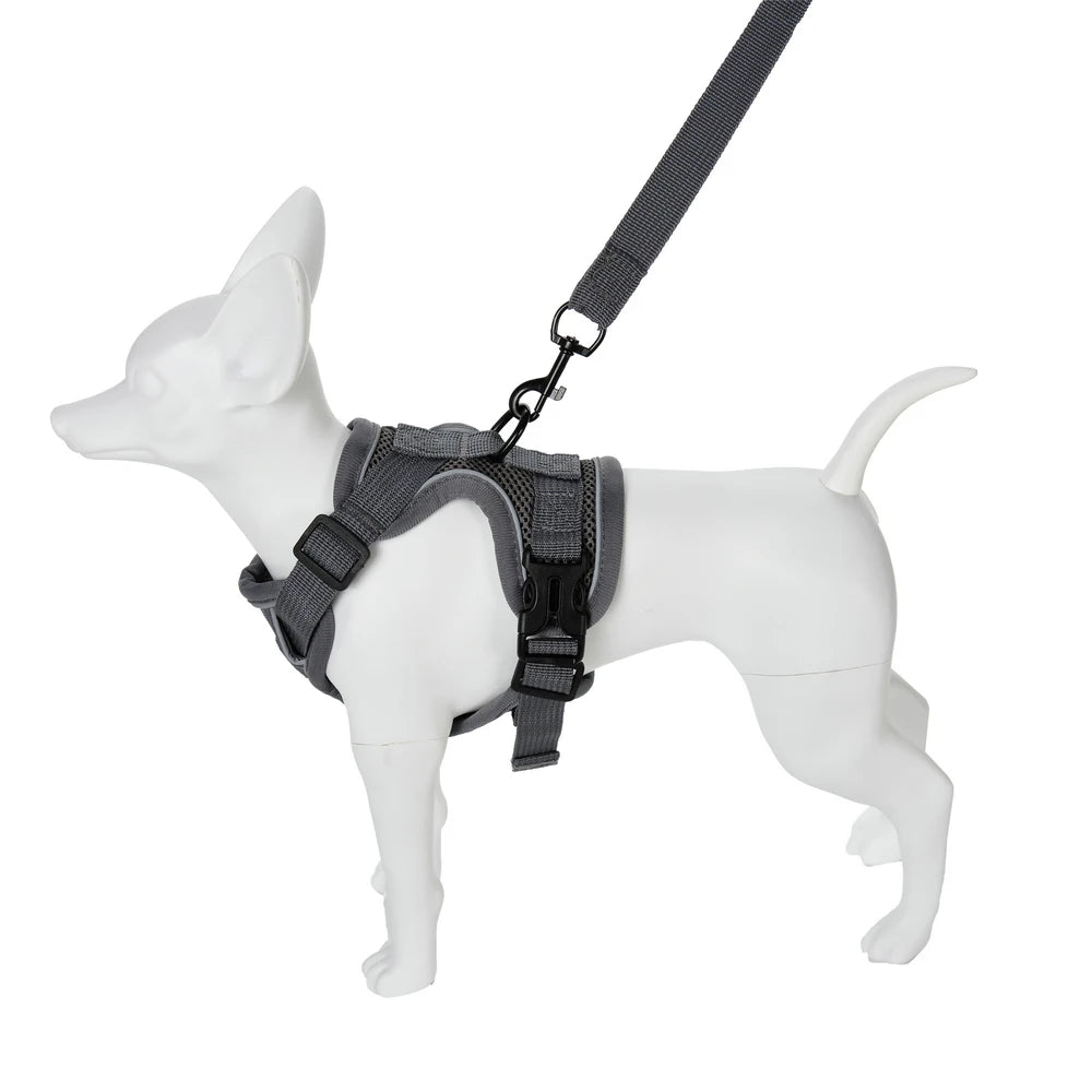 Pet Dog Harness Leash Set Adjustable Puppy Solid Chest Strap with D-ring For Small Medium Dogs Cats French Bulldog Accessories