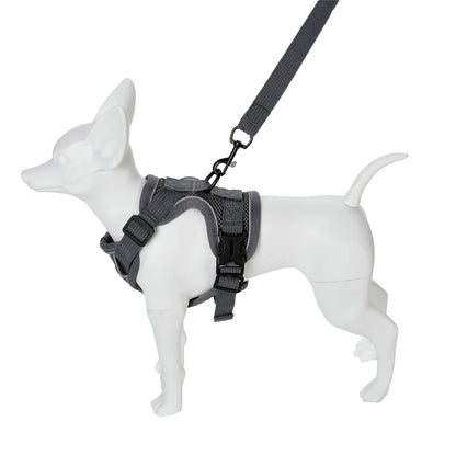 Pet Dog Harness Leash Set Adjustable Puppy Solid Chest Strap with D-ring For Small Medium Dogs Cats French Bulldog Accessories