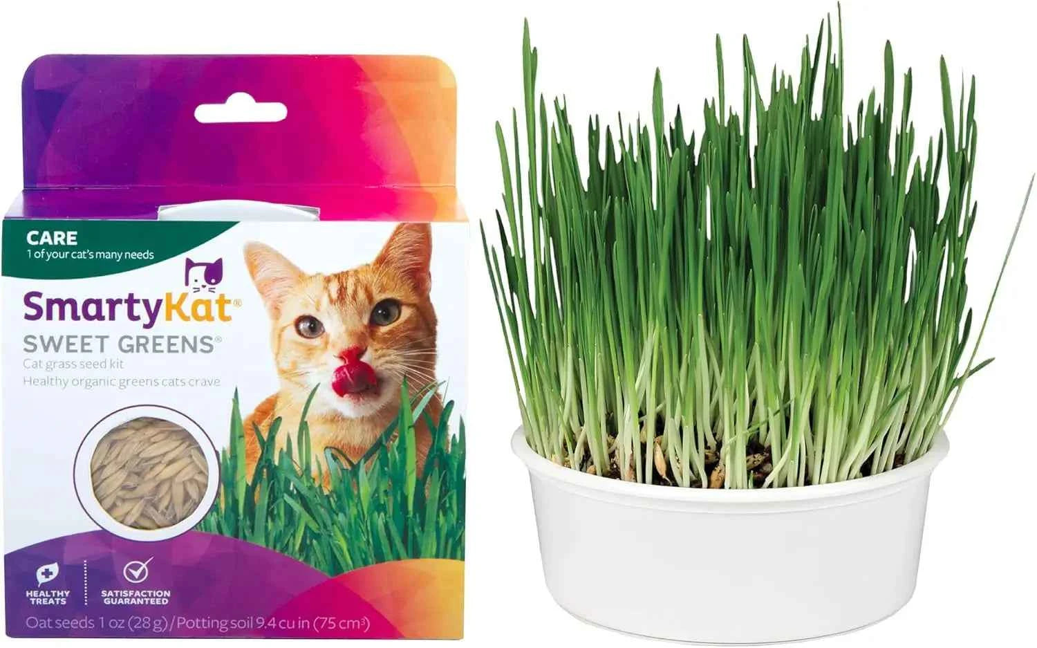 Organic Oat Grass Cat Grow Kit, Easy-to-Grow for Digestion & Hairball Support, All-in-One Solution