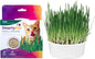 Organic Oat Grass Cat Grow Kit, Easy-to-Grow for Digestion & Hairball Support, All-in-One Solution