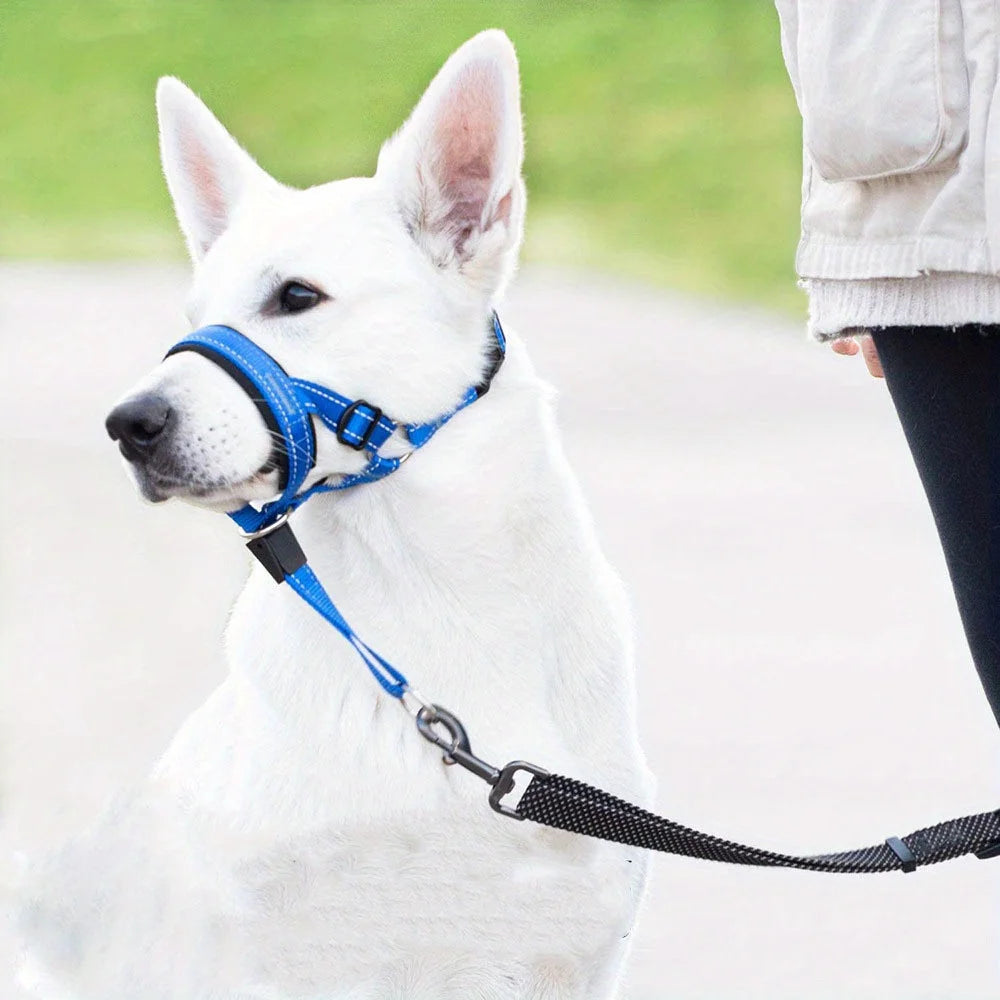 2-Pack Adjustable Nylon Dog Muzzles with Reinforced Stitching–Leader Halter with Safety Strap for Training and Pull-Free Walks - Bdba PK