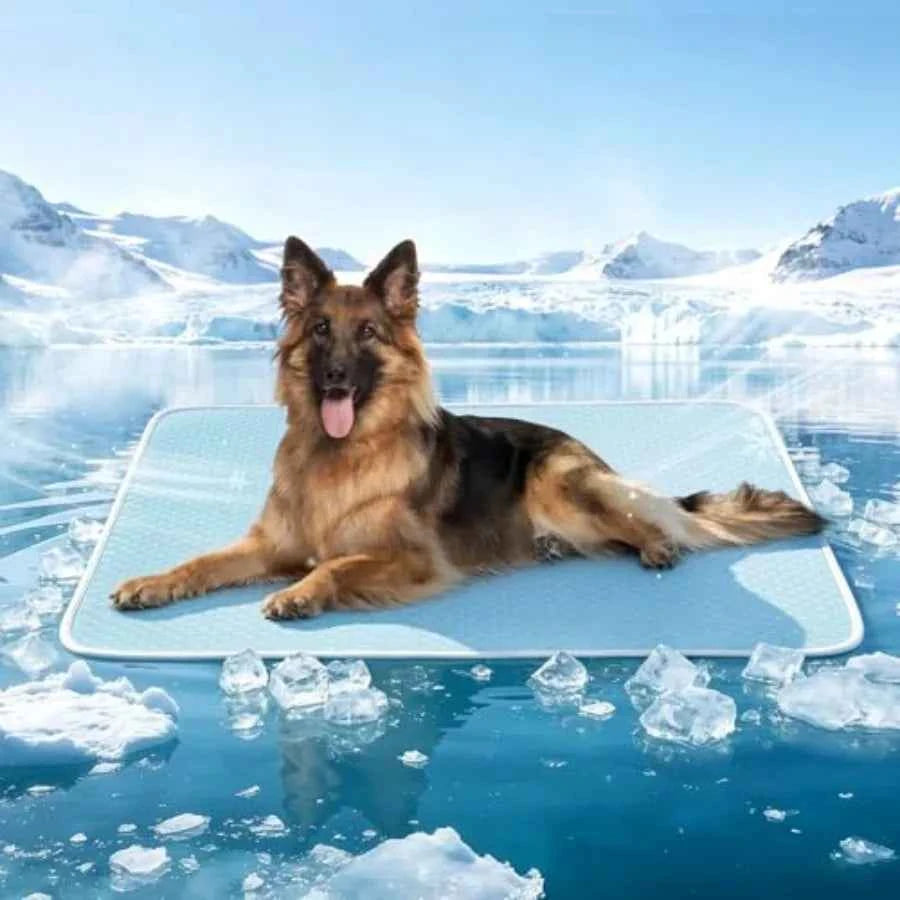 Dog Cooling Mat Instant Self Cooling Pad for Dogs and Cats Breathable Washable Summer Pet Cool Mat Indoor Outdoor, Cold Blanket
